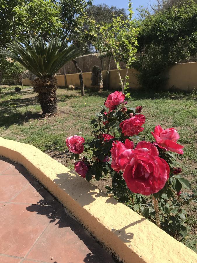 Villa Saturno Tropea Zewnętrze zdjęcie